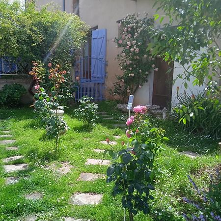 Studio La Roseraie Avec Jardin Privatif Proche Centre Ville Moissac Kültér fotó